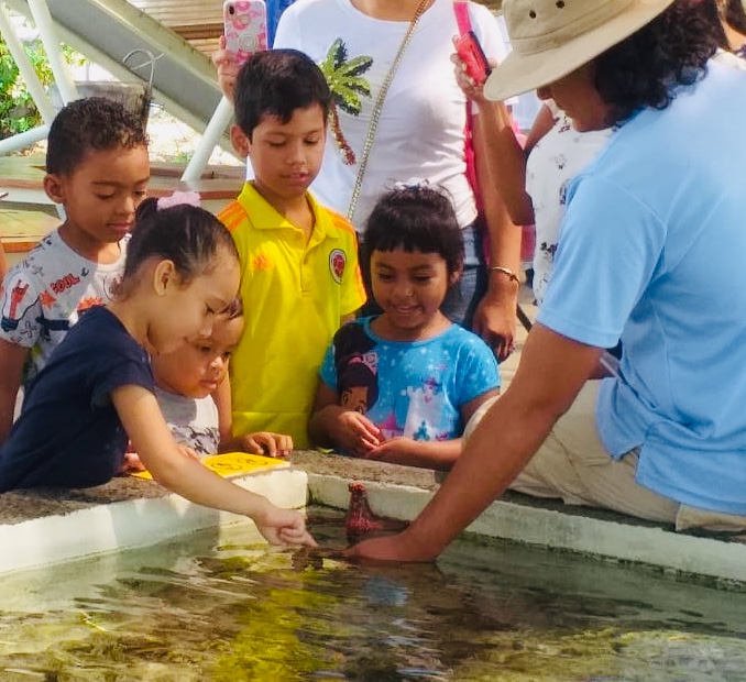 Renovada exhibición en Centro Natural Punta Culebra